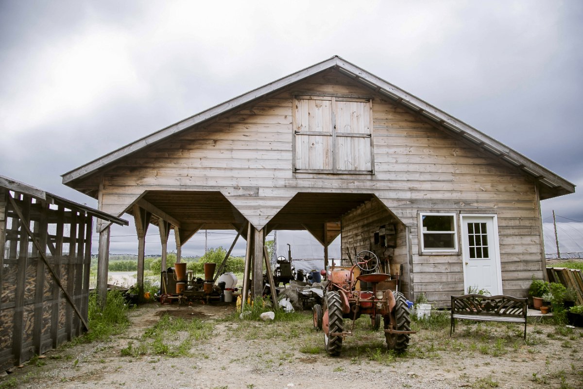 PFAS Shut Maine Farms Down. Now, Some Are Rebounding.